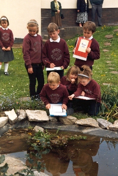 School children at Ysgol Bro Famau investigating their wildlife pond